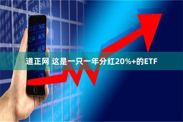 道正网 这是一只一年分红20%+的ETF