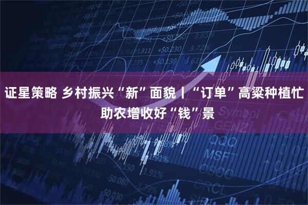 证星策略 乡村振兴“新”面貌丨“订单”高粱种植忙  助农增收好“钱”景