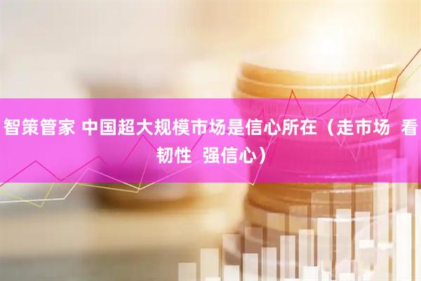 智策管家 中国超大规模市场是信心所在（走市场  看韧性  强信心）