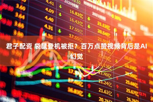 君子配资 袋鼠登机被拒？百万点赞视频背后是AI幻觉