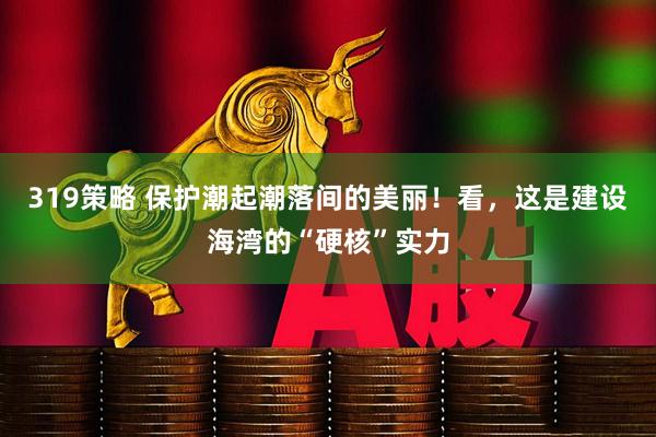 319策略 保护潮起潮落间的美丽！看，这是建设海湾的“硬核”实力