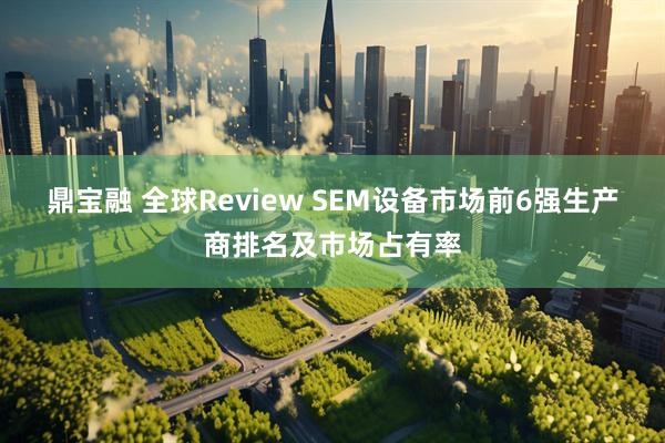 鼎宝融 全球Review SEM设备市场前6强生产商排名及市场占有率