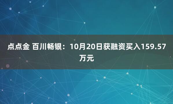 点点金 百川畅银:10月20日获融资买入159.57万元