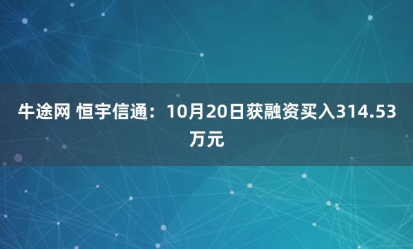 牛途网 恒宇信通:10月20日获融资买入314.53万元