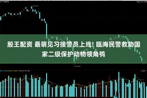 股王配资 最萌见习接警员上线! 瓯海民警救助国家二级保护动物领角鸮