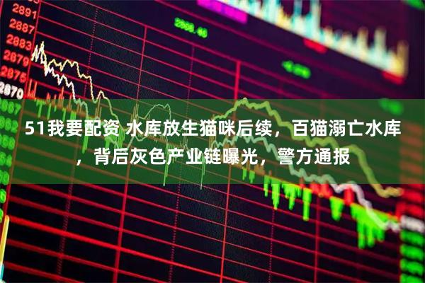 51我要配资 水库放生猫咪后续，百猫溺亡水库，背后灰色产业链曝光，警方通报